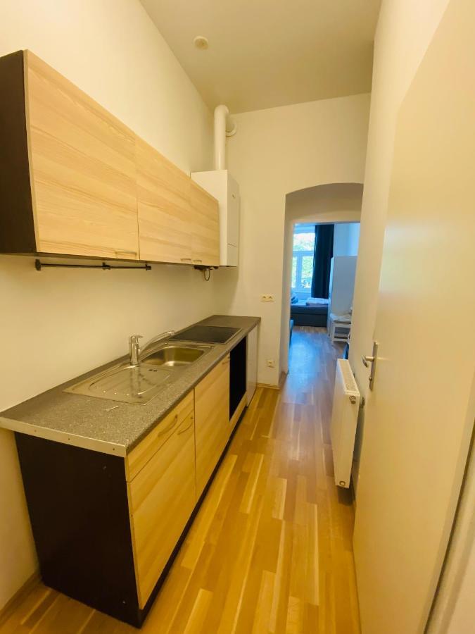 Appartement Niceapartmenthollergasse 1a *